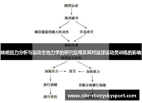 姚明应力分析与运动生物力学的研究应用及其对篮球运动员训练的影响