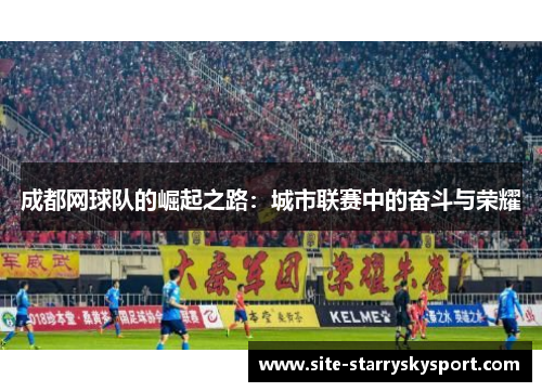 成都网球队的崛起之路：城市联赛中的奋斗与荣耀